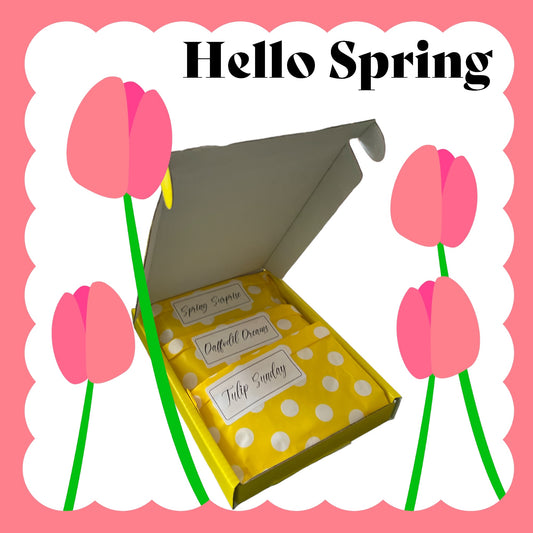 Spring Discovery Floral Citrus Box Set Wax Melt Collection Luxury Fragranced Melts LIMITED EDITION